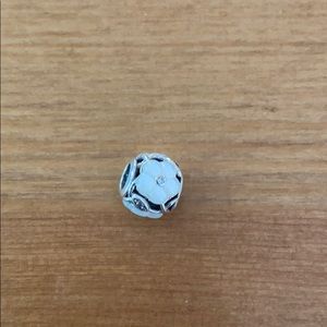 Pandora Luminous Florals Charm